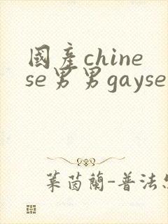 国产chinese男男gayseⅹporn网站封面