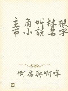 主角叫林枫的都市小说名字