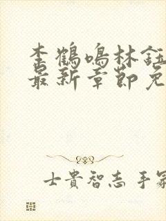 李鹤鸣林钰小说最新章节免费阅读