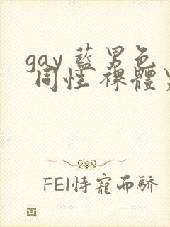 gay 蓝男色 同性 裸体男模