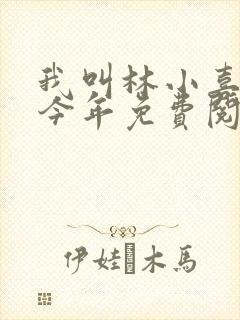 我叫林小喜17今年免费阅读