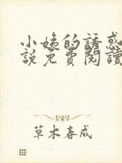 小姨的诱惑我小说免费阅读无弹窗