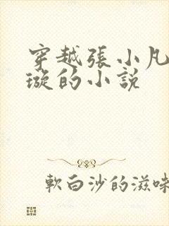 穿越张小凡楚清璇的小说