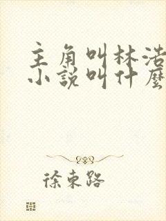 主角叫林浩然的小说叫什么