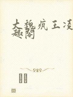 大魏疯王凌宁笔趣阁
