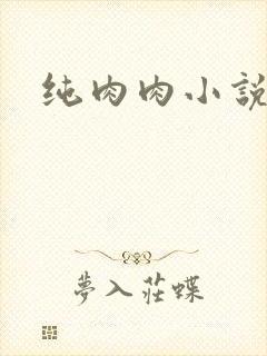 纯肉肉小说封面