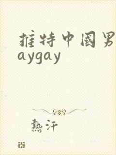 推特中国男男gaygay