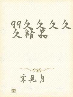 99久久久久久久精品