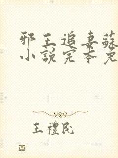 邪王追妻苏小暖小说完本免费阅读封面