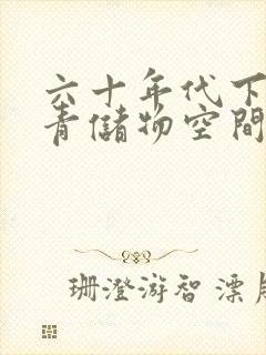 六十年代下乡知青储物空间封面