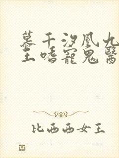 慕千汐凰九夜邪王嗜宠鬼医狂妃免费阅读