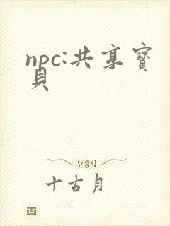 npc:共享宝贝