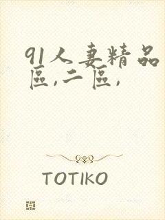 91人妻精品一区,二区,封面