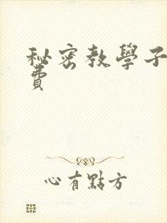 秘密教学子豪免费