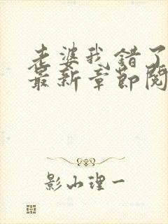 老婆我错了小说最新章节阅读全文封面