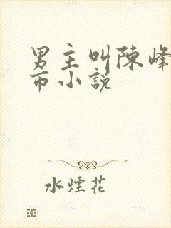 男主叫陈峰的都市小说