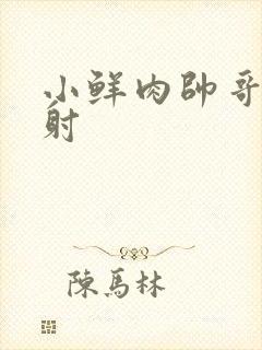 小鲜肉帅哥被玩射