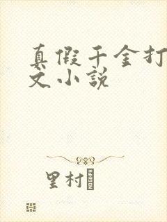 真假千金打脸爽文小说封面