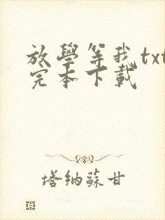 放学等我txt完本下载