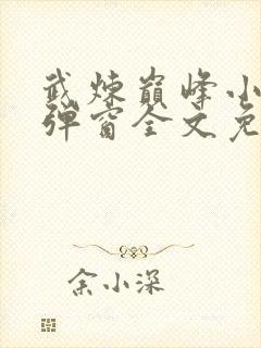 武炼巅峰小说无弹窗全文免费阅读