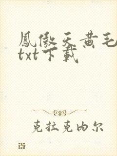 凤傲天黄毛反派txt下载