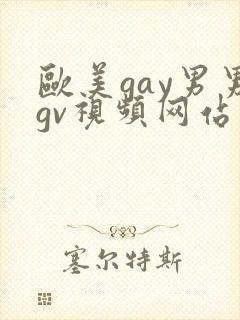 欧美gay男男gv视频网站