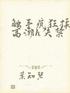 触手疯狂揉肉蒂高潮h失禁