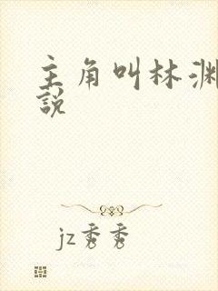 主角叫林渊的小说