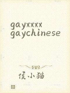 gayxxxxgaychinese