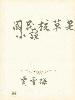 国民校草是女生 小说封面