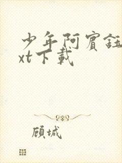 少年阿宾钰慧txt下载