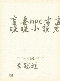 盲妻npc古言暖暖小说免费阅读