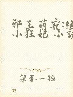 邪王萌宠:绝色小狂妃 小说