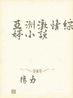 亚洲激情综合婷婷小说