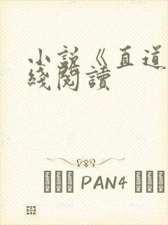 小说《直道》在线阅读