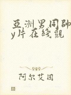 亚洲男同帅gay片在线观