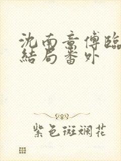 沈南意傅临洲大结局番外