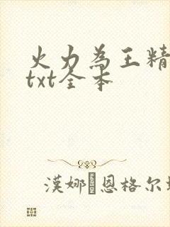 火力为王精校版txt全本