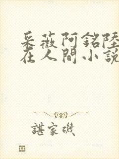 采薇阿铭陆三平在人间小说