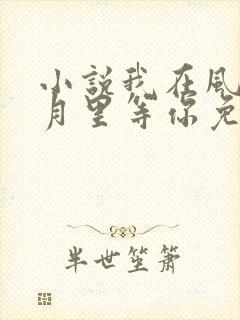 小说我在风花雪月里等你免费下载封面