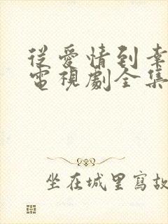从爱情到幸福1电视剧全集免费观看