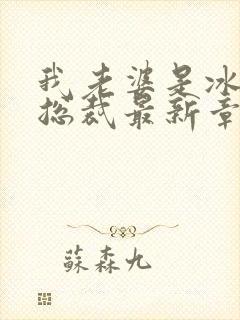 我老婆是冰山女总裁最新章节小说