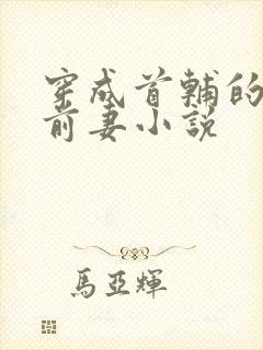 穿成首辅的炮灰前妻小说封面