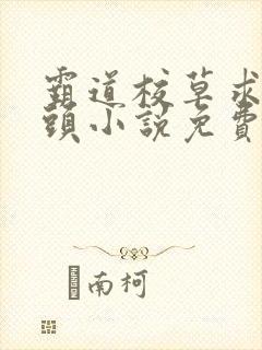 霸道校草求我回头小说免费