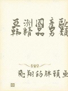 亚洲国产欧美日韩精品另类