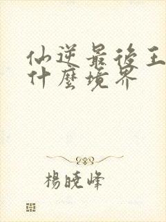 仙逆最后王林到什么境界