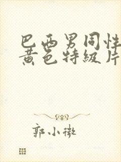 巴西男同性恋的黄色特级片