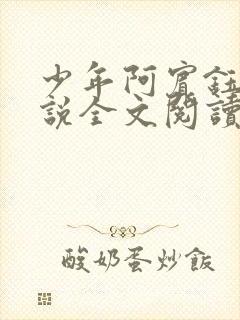 少年阿宾钰慧小说全文阅读目录免费