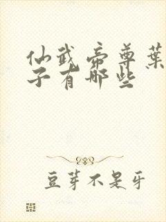 仙武帝尊叶辰孩子有哪些