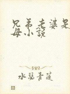 兄弟老婆是我岳母小说封面